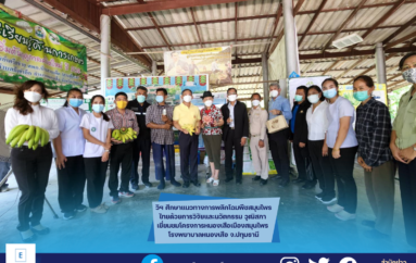 วิฯ ศึกษาแนวทางการพลิกโฉมพืชสมุนไพรไทยด้วยการวิจัยและนวัตกรรม วุฒิสภา เยี่ยมชมโครงการหนองเสือเมืองสมุนไพร โรงพยาบาลหนองเสือ จ.ปทุมธานี