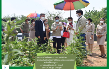 คณะกมธ.วิฯศึกษาแนวทางการพลิกโฉมพืชสมุนไพรไทยด้วยการวิจัยและนวัตกรรม วุฒิสภาลงพื้นที่ศึกษาดูงาน ม.ราชภัฏหมู่บ้านจอมบึง ราชบุรี และโรงพยาบาลดอนตูม นครปฐม