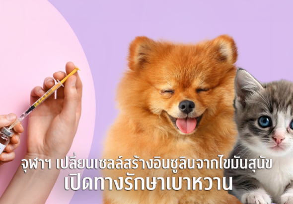PIC_จุฬาฯ สร้างความหวังใหม่ในการรักษาโรคเบาหวานในสัตว์เลี้ยง